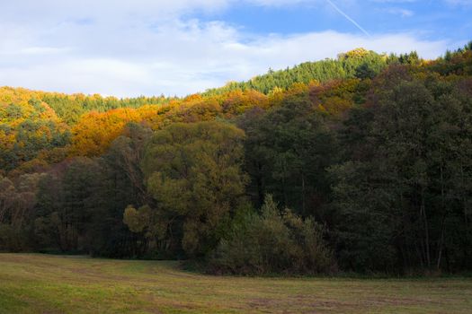 Farmland and fall-colored forest in Eifel region, rural Germany.