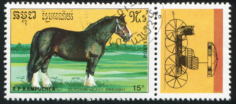 CAMBODIA - CIRCA 1989: stamp printed by Cambodia, shows horse, circa 1989.