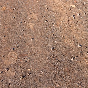 Imprints of car tire and boot tread in soft muddy ground.