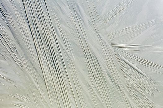 Silage (or Haylage): Bales of hay sealed in plastic wrapper for fermentation to feed livestock.