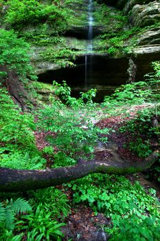 Lush vegetation grows near a small waterfall at Starved Rock State Park.