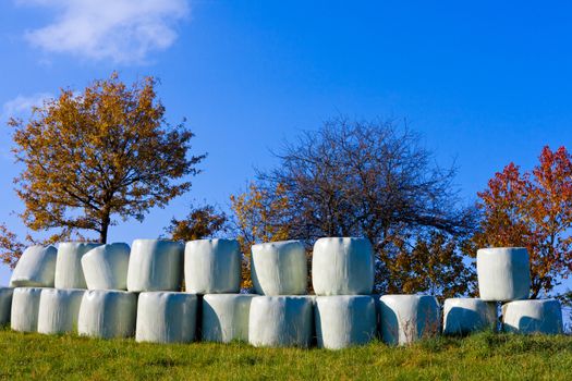 Silage (or Haylage): Bales of hay sealed in plastic wrapper for fermentation to feed livestock.