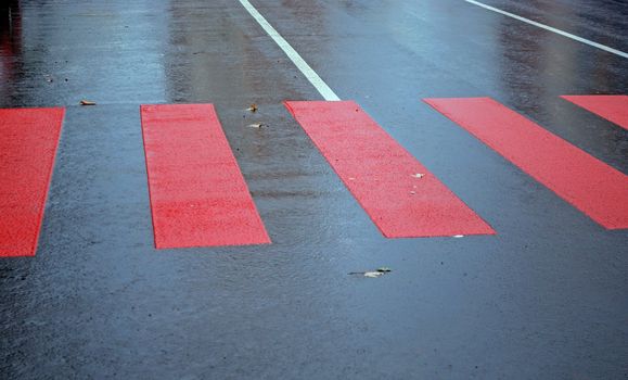 drops of rain water on a fresh asphalt