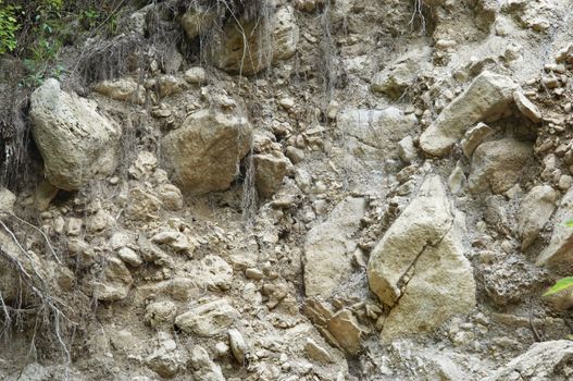 roots and stones stripped at ground section