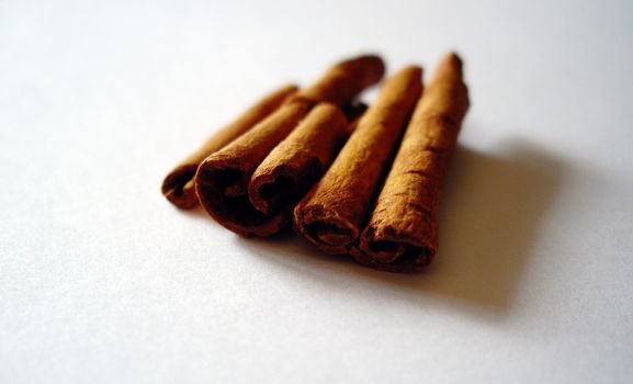 the spice of Cinnamon