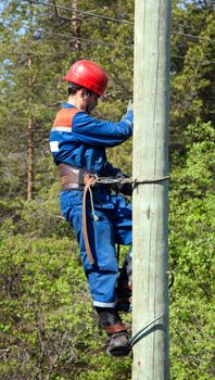 Electrician working at height on a background of green wood