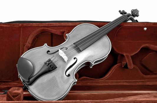 Blacnk and white italian Violin in red brown case isolated on white