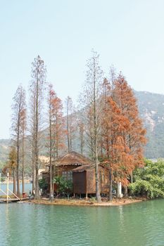 wood house on water and trees