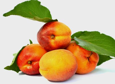 juicy apricots on a white background