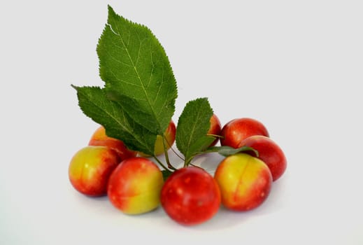 juicy plum on a white background