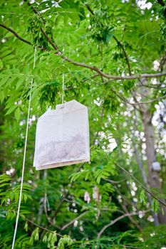 Big Tea Bag hanging on a Tree