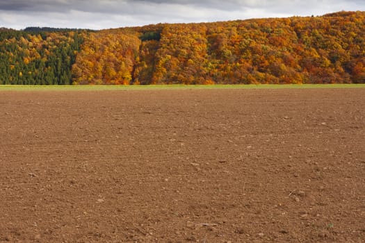 Freshly plowed farmland in Eifel region, Germany, ready for sowing winter grain in fall.