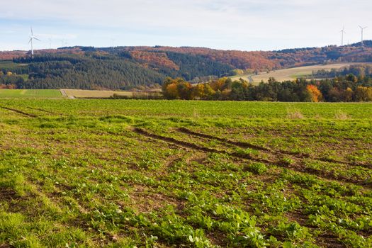 Landscape of Eifel region, Germany, farmland, forested rolling hills and modern wind turbines.