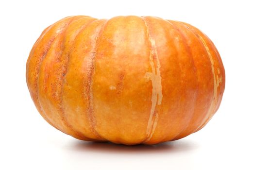Orange pumpkin on white background