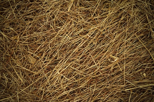 View to straw closeup as background