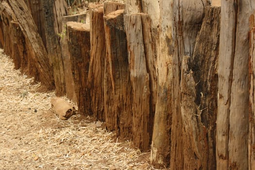 Tree log made into fence