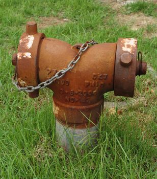 Red fire hydrant in green field