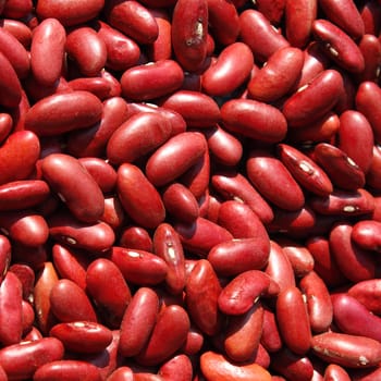 Red kidney bean for background