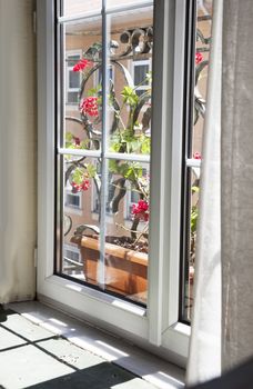 portrait of doubled glazed patio door of red flowers in a pot on balcony