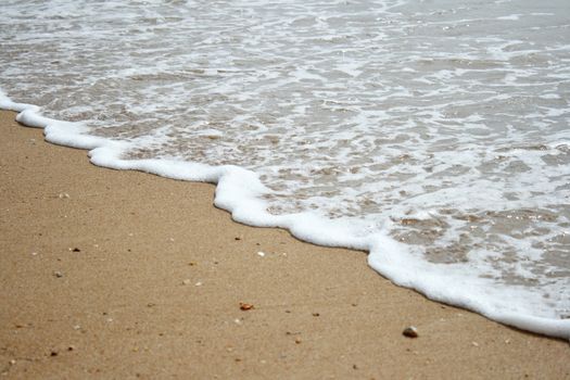 Ocean wave and tropical beach