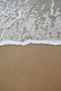 Ocean wave and tropical beach