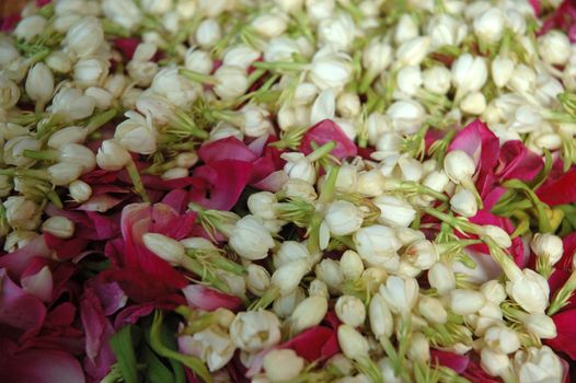 close up of jasmine bud that used in indonesian traditional wedding procession