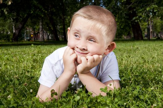 Portrait the boy, laying on a grass, supporting a head hands