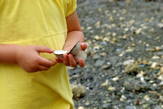 catching the shells. Please note: No negative use allowed.