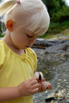 catching the shells. Please note: No negative use allowed.