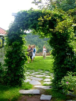 green plant arch. Please note: No negative use allowed.