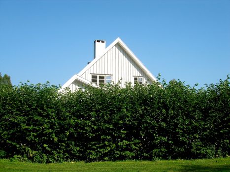 a white house behind shrub barrier. Please note: No negative use allowed.