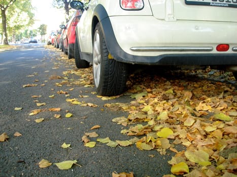 parking cars and fallen leaves. Please note: No negative use allowed.