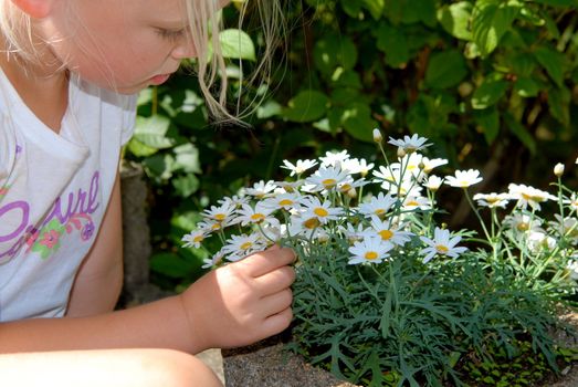 girl picking the flowers. Please note: No negative use allowed.