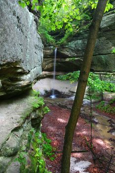 Springtime scene at Owl Canyon of Starved Rock State Park in Illinois.