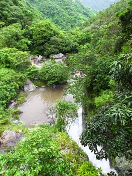 River flows through the Cordillera Central rainforests of Puerto Rico.