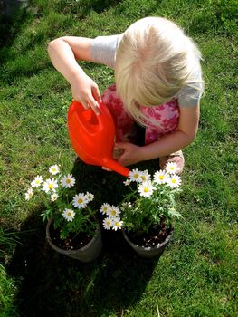 little girl watering the flowers. Please note: No negative use allowed.