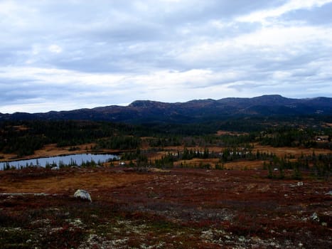 nature view in Norway. Please note: No negative use allowed.