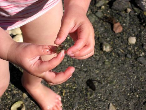 got a crab. Please note: No negative use allowed.