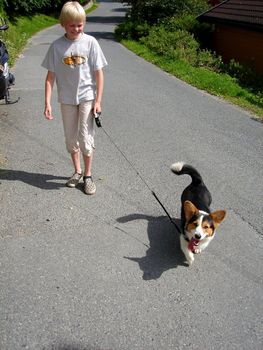 a boy walking the dog. Please note: No negative use allowed.