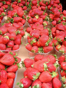 fresh strawberries. Please note: No negative use allowed.
