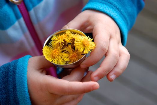 girl collecting flowers. Please note: No negative use allowed.