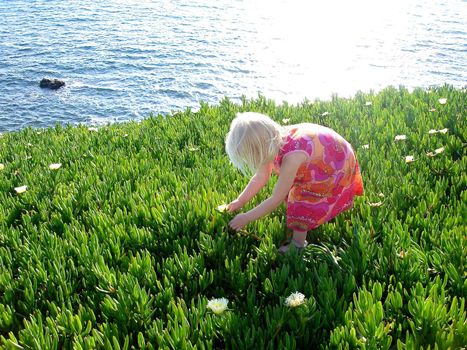 girl picking flowers at the seaside. Please note: No negative use allowed.