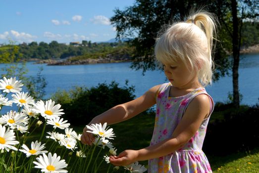 girl picking the flowers. Please note: No negative use allowed.