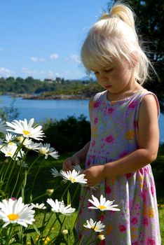 girl picking the flowers. Please note: No negative use allowed.