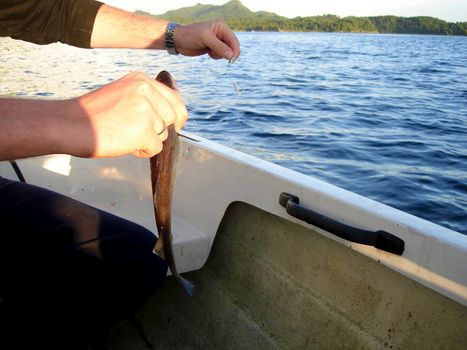 fishing on the sea. Please note: No negative use allowed.