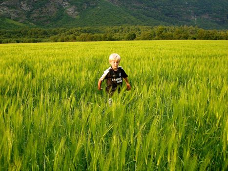 boy playing in the wheat field. Please note: No negative use allowed.