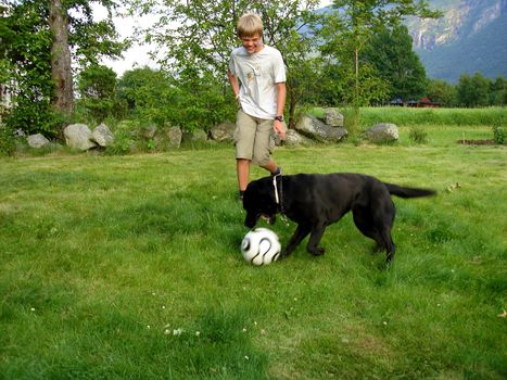 dog playing football. Please note: No negative use allowed.