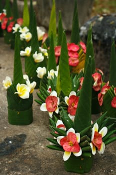 Flower at Buddhist temple in Lao