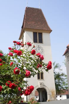 Flowers