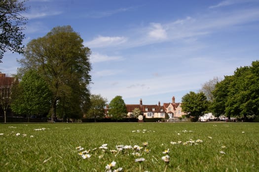 Green grass meadow and blue sky in England
